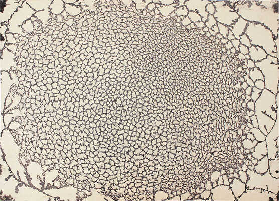 Тарханов Михаил Михайлович. Композиция с коричневыми узорами